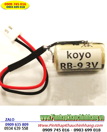 KOYO RB-9; Pin nuôi nguồn PLC KOYO RB-9  chính hãng Made in Japan